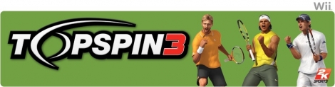 Banner Top Spin 3