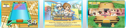 Banner Family Glide Hockey