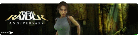 Banner Lara Croft Tomb Raider Anniversary