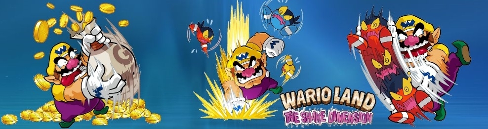 Banner Wario Land The Shake Dimension