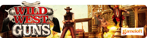 Banner Wild West Guns