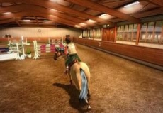 Review My Horse & Me: Een wedstrijd kan in een hal plaatsvinden, waarin jij en je paard de ruimte krijgen om te rijden en te springen.