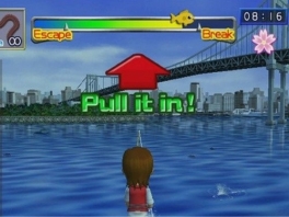 Door de Wii mote met de juiste snelheid naar achter te halen krijg je de vissen uit het water.