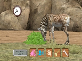 Een zebra heeft ook eten nodig, lekker!